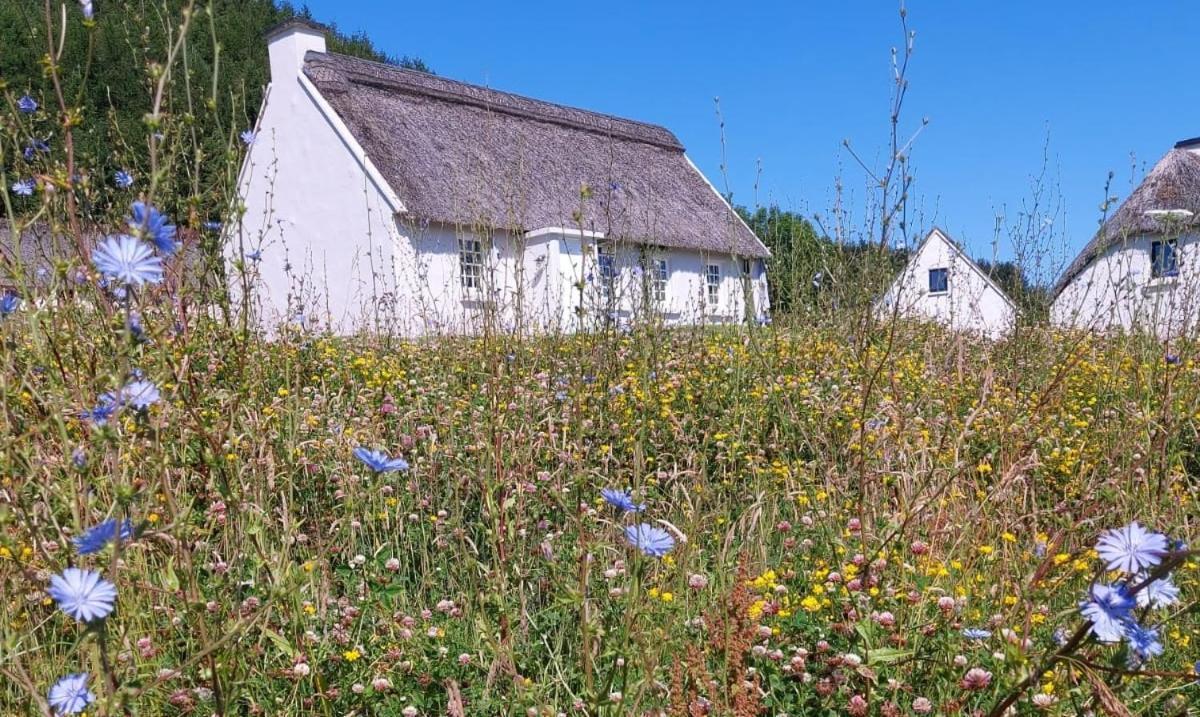 Corofin Lake Cottages Exterior foto